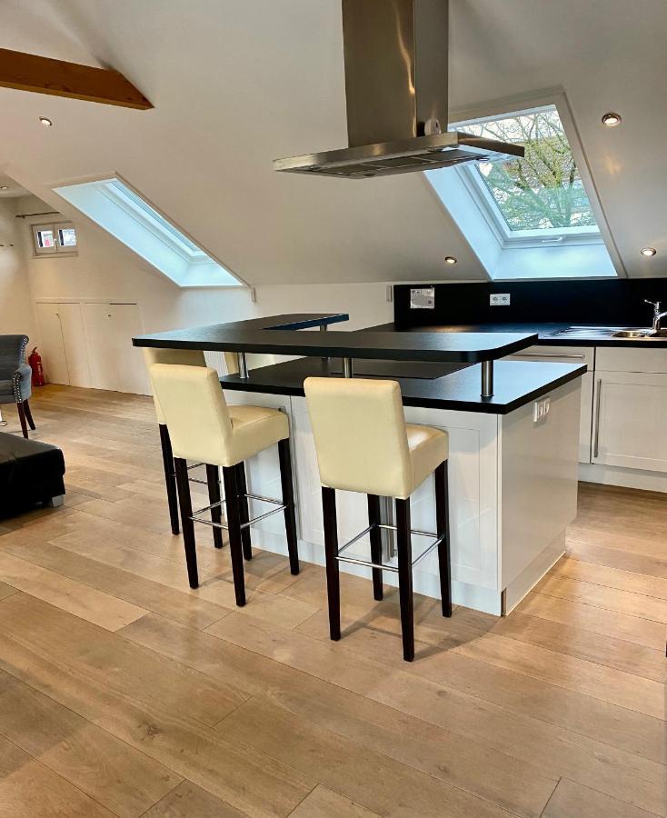Luxurioeses Studio Im Zentrum, Balkon, Kamin, Klima Apartman Ravensburg Kültér fotó